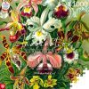Пазл GoodLoot Imagination: Orchid Ernst Haeckel 1000 эл. (5908305247531) изображение 4