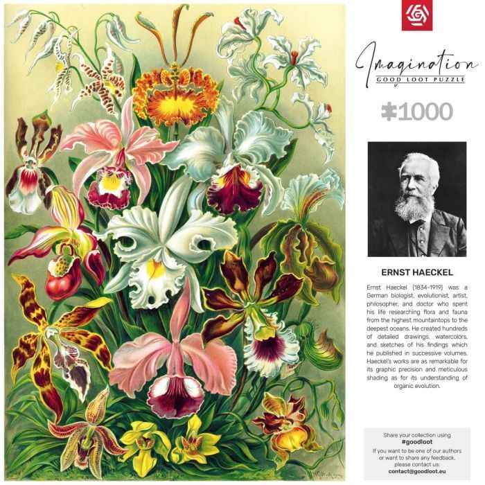 Пазл GoodLoot Imagination: Orchid Ernst Haeckel 1000 эл. (5908305247531) изображение 6