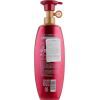 Шампунь LG Care ReEn Jayoon Shampoo Для жирного волосся 500 мл (8801051159929) зображення 2