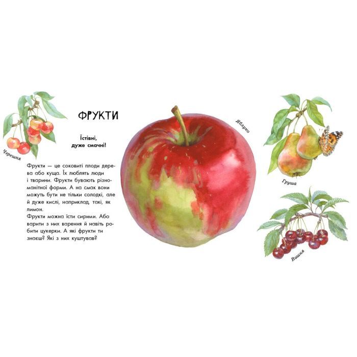 Книга Про рослини - Наталія Чуб Ранок (9786170947635) зображення 2