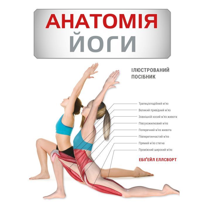 Книга Анатомія йоги. Ілюстрований посібник - Ебіґейл Еллсворт BookChef (9786175485156)