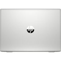 Ноутбук HP Probook 450 G7 (8VU78EA) изображение 5