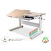 Парта Mealux RichWood Multicolor MG (BD-840 MG/MC)