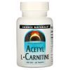Витаминно-минеральный комплекс Source Naturals Ацетил-L-Карнитин 500 мг, Acetyl L-Carnitine, 60 таблеток (SNS-00499)