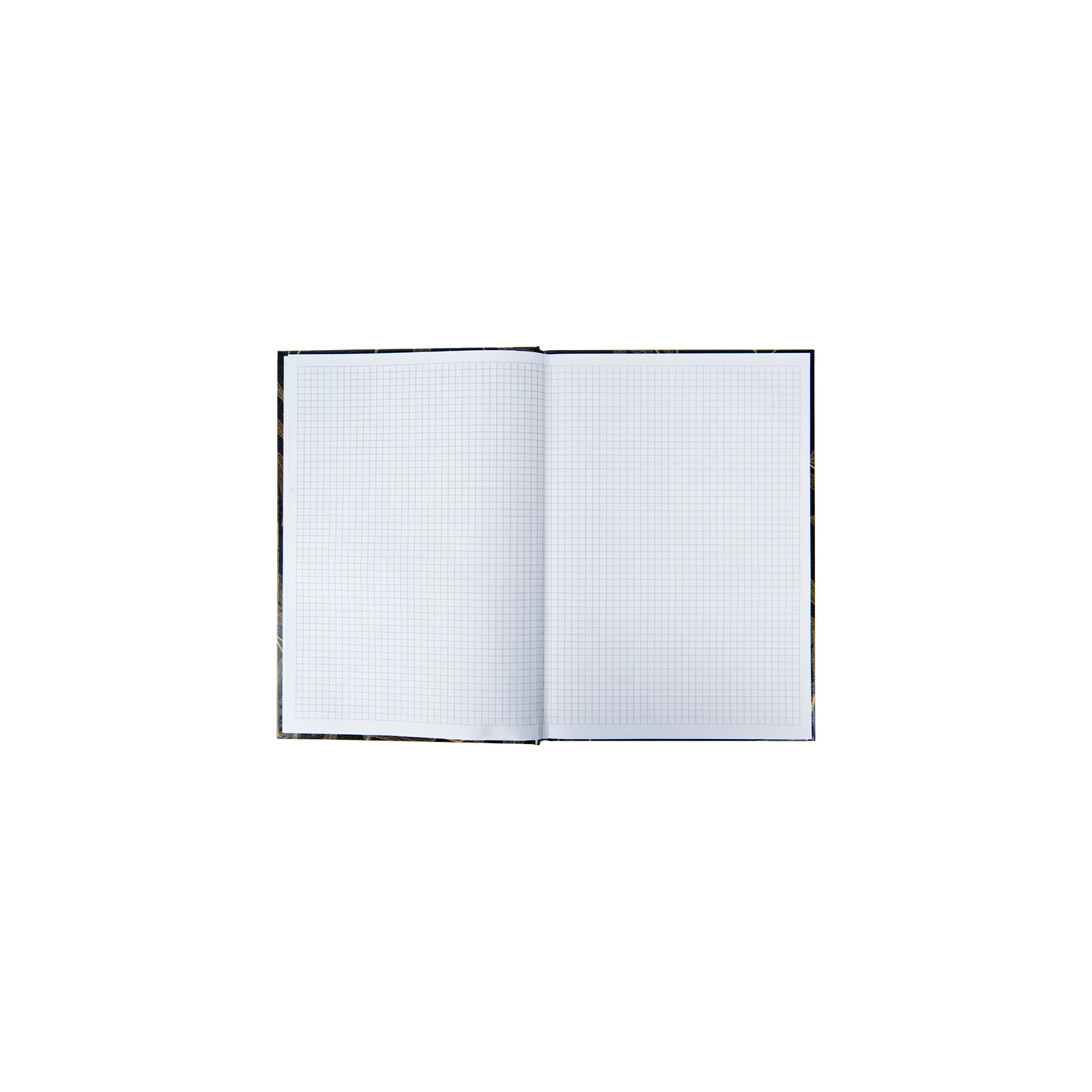 Книга записная Axent Waves А4, 96 листов, ячейка, голубая (8422-560-A) изображение 3