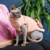 Свитер для животных Pet Fashion CAT L персик (4823082429707) изображение 3