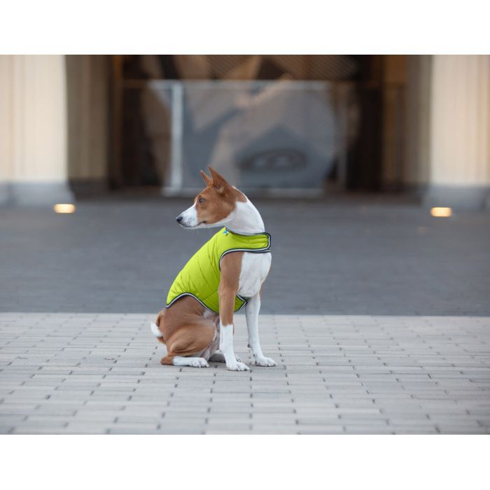 Курточка для тварин Airy Vest XS помаранчева (15414) зображення 5