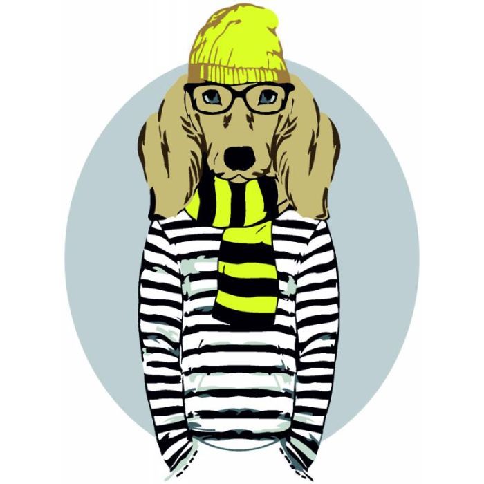 Картина по номерам Rosa Start Stylish Dog 35 х 45 см (N00013265) (4823098514244)