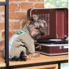 Комбінезон для тварин Pet Fashion EGO М (4823082431427) зображення 6