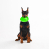 Іграшка для собак Flyber Літаюча тарілка Flyber 22 см салатова (62175) зображення 14