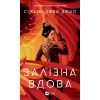 Книга Залізна Вдова - Сіжань Джей Джао Vivat (9786171702776)