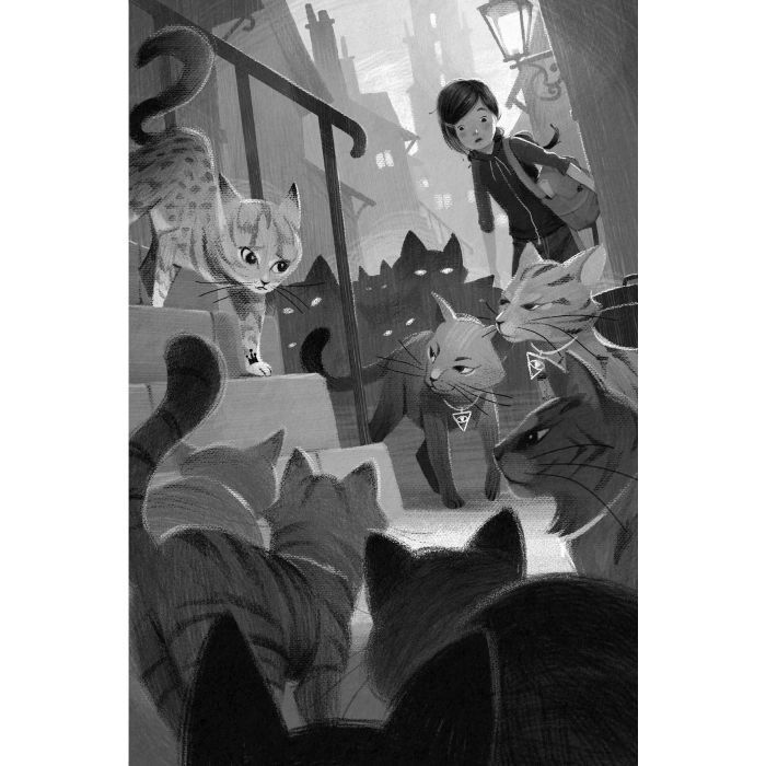 Книга Опівнічні Коти. Школа фелідіксів. Книга 1 - Барбара Лабан Видавництво РМ (9786178373276) зображення 6