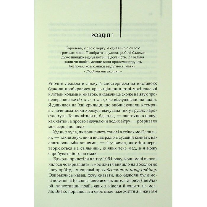Книга Таємне життя бджіл - Сью Монк Кідд КСД (9786171513440) зображення 5