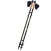 Палки для скандинавской ходьбы PowerPlay 9105 Sisu Black/Gold 80-135 см (PP_9105_SISU)