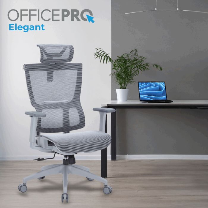 Офісне крісло OfficePro Elegant OC660-G-DG-DG (OC660-G-DG-DG) зображення 2