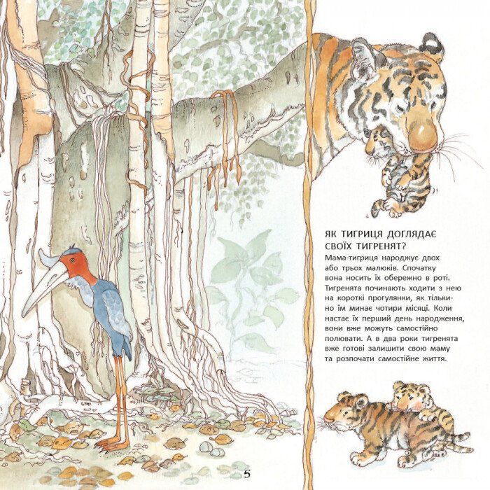 Книга Тигреня Сілія - Даніела де Лука Ранок (9786170931696) изображение 7