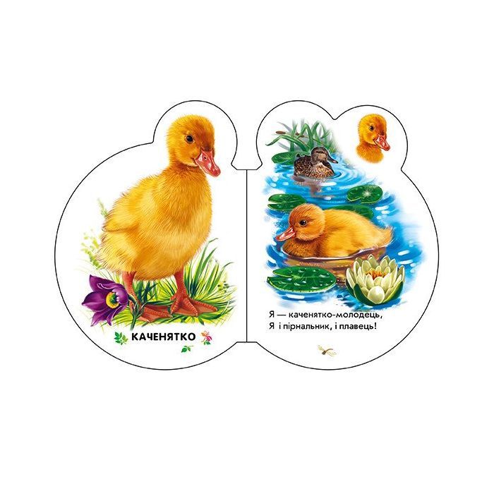 Книга Малята у селі + Аудіо-бонус - Ірина Сонечко Ранок (9789667508593) изображение 3