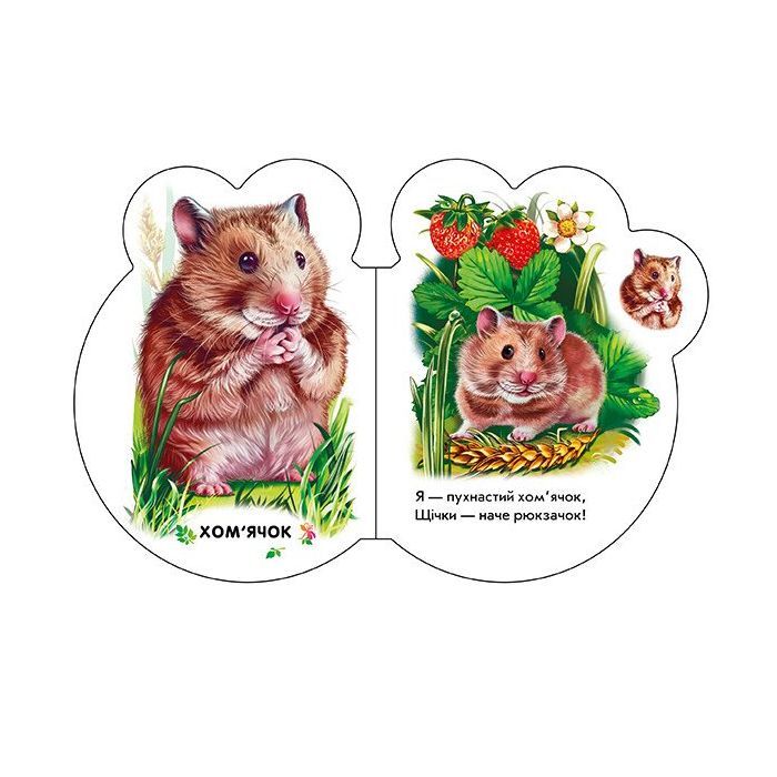 Книга Малята у селі + Аудіо-бонус - Ірина Сонечко Ранок (9789667508593) изображение 4