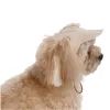 Кепка для животных Pet Fashion Glamor М (4823082445912) изображение 4