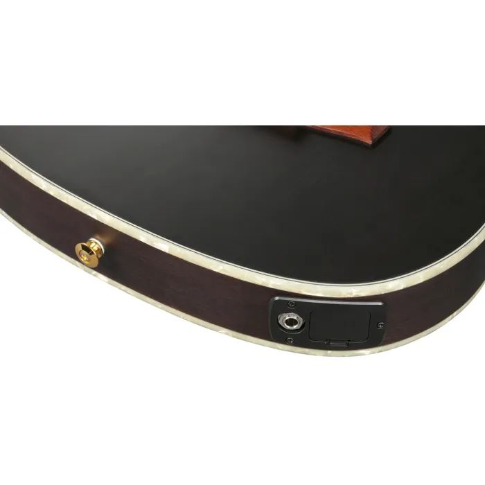 Гітара класична Ibanez TOD10N-TKF (234181) зображення 10