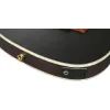 Гітара класична Ibanez TOD10N-TKF (234181) зображення 10