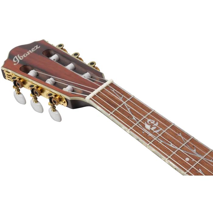 Гітара класична Ibanez TOD10N-TKF (234181) зображення 11