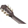 Гітара класична Ibanez TOD10N-TKF (234181) зображення 12