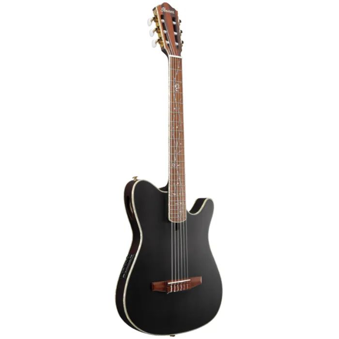 Гітара класична Ibanez TOD10N-TKF (234181) зображення 3