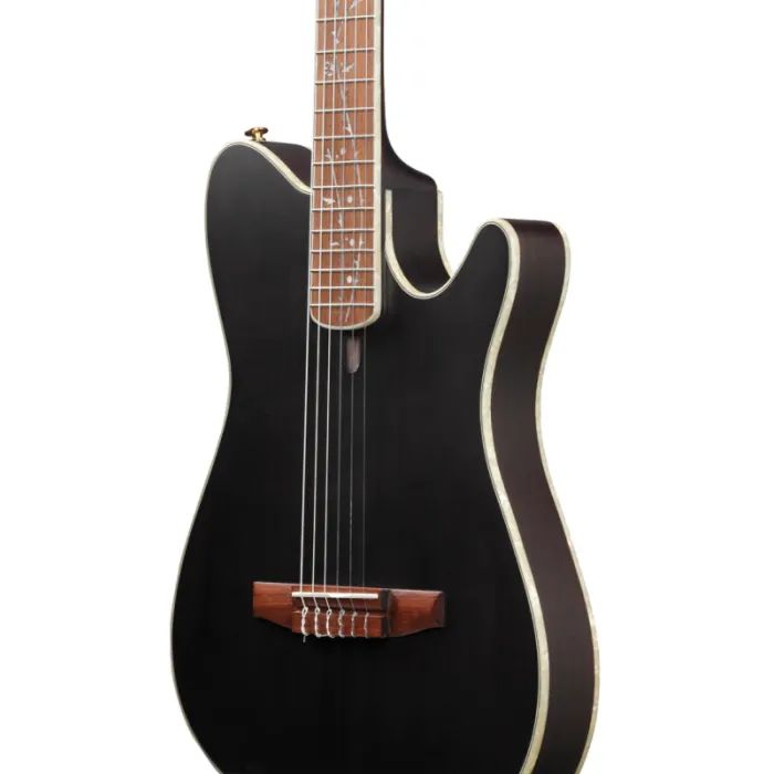 Гітара класична Ibanez TOD10N-TKF (234181) зображення 6
