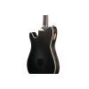 Гітара класична Ibanez TOD10N-TKF (234181) зображення 7