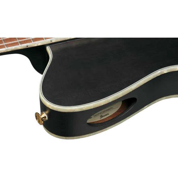 Гітара класична Ibanez TOD10N-TKF (234181) зображення 8