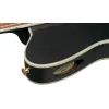 Гітара класична Ibanez TOD10N-TKF (234181) зображення 8