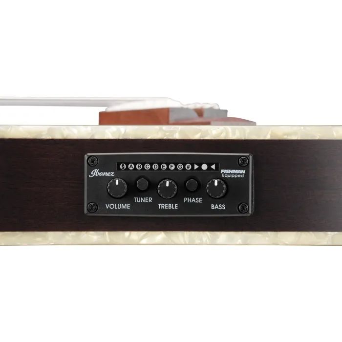 Гітара класична Ibanez TOD10N-TKF (234181) зображення 9
