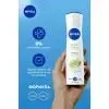 Антиперспірант Nivea Fresh Citrus Anti-Perspirant 150 мл (5900017075419) зображення 3