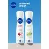 Антиперспірант Nivea Fresh Citrus Anti-Perspirant 150 мл (5900017075419) зображення 6