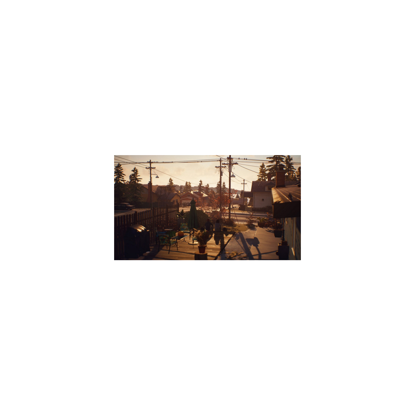 Гра Sony Life is Strange 2 [PS4, English version] (SLIS24EN01) зображення 2