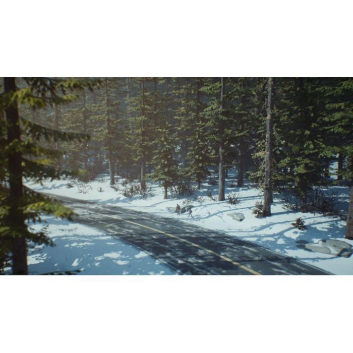 Гра Sony Life is Strange 2 [PS4, English version] (SLIS24EN01) зображення 3