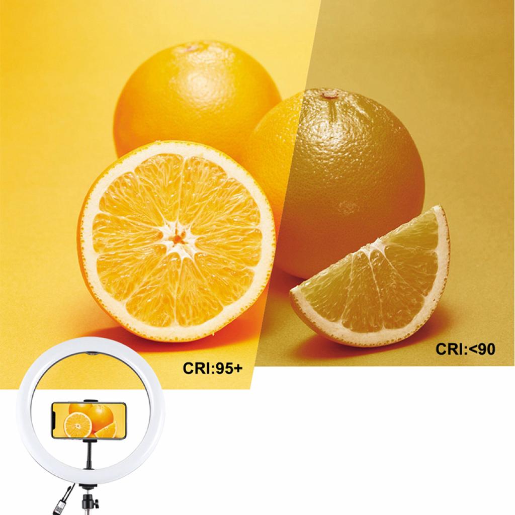 Набір блогера Puluz Ring USB LED lamp PKT3043 10" + tripod 1.1 м (PKT3043) зображення 7