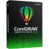 Программная продукция Corel CorelDRAW Graphics Suite 2020 RU/EN/TR Windows (ESDCDGS2020ROW)