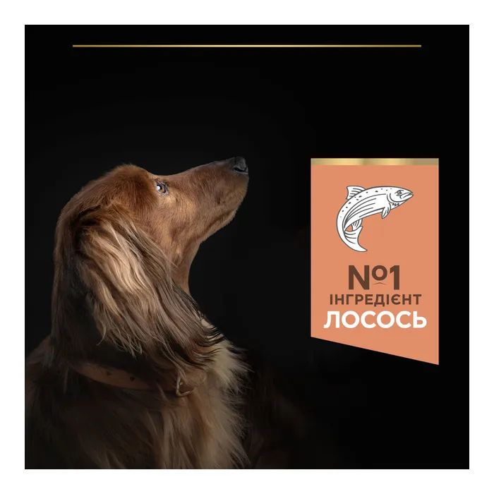 Сухой корм для собак Purina Pro Plan Small&Mini Sensitive Skin с лососем 7 кг (7613035123441) изображение 7