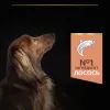 Сухой корм для собак Purina Pro Plan Small&Mini Sensitive Skin с лососем 7 кг (7613035123441) изображение 7