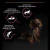 Сухой корм для собак Purina Pro Plan Small&Mini Sensitive Skin с лососем 7 кг (7613035123441) изображение 8