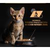 Влажный корм для кошек Purina Pro Plan Kitten Healthy Start Для котят С индейкой 10 х 85 г (7613034767646) изображение 6