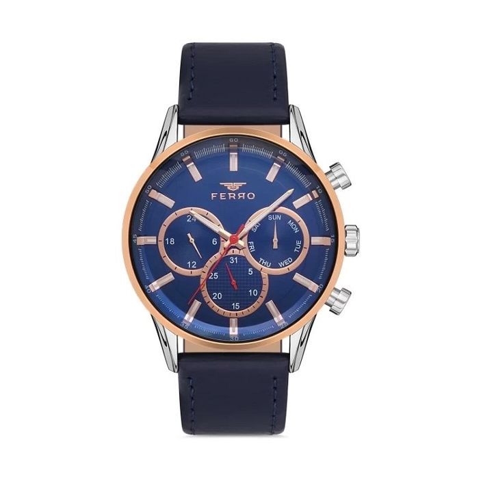 Наручний годинник Ferro FM11025B-E3