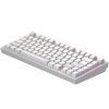 Клавіатура Dark Project ALU81 Terra Nostra PBT RGB Mech G3MS Moonstone White (DPKB_NOSTRA_81_ANSI_WHITE_UA) зображення 5