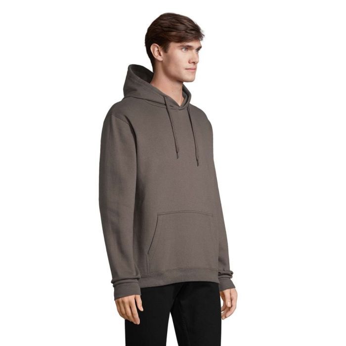 Худи Sol's Snake темно-сірий XXL (47101384XXL) изображение 3