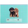 Альбом для рисования Kite Studio Pets, 24 листа (SP25-242) изображение 10