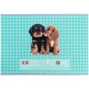 Альбом для рисования Kite Studio Pets, 24 листа (SP25-242) изображение 10