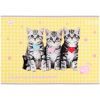 Альбом для рисования Kite Studio Pets, 24 листа (SP25-242) изображение 5