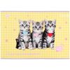 Альбом для рисования Kite Studio Pets, 24 листа (SP25-242) изображение 5